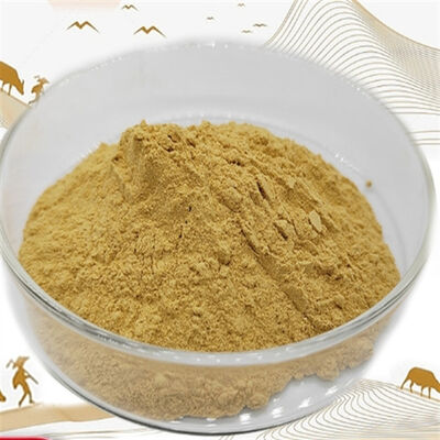 Un bon prix. 90147-43-6 CAS 90147-43-6/ Poudre normalisée Nutraceutique de qualité garantie en ligne