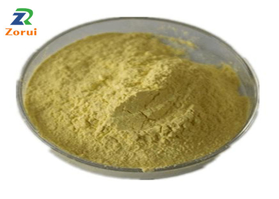 Un bon prix. Le cognassier du Japon de Sophora extrait le volume de poudre de quercétine pour la toux CAS fluidifiant répressif 117-39-5 en ligne