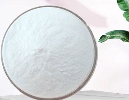 Un bon prix. Graisse naturelle de noix de coco de poudre blanche de catégorie comestible de poudre de lait de coco pour des produits de boisson alimentaire en ligne