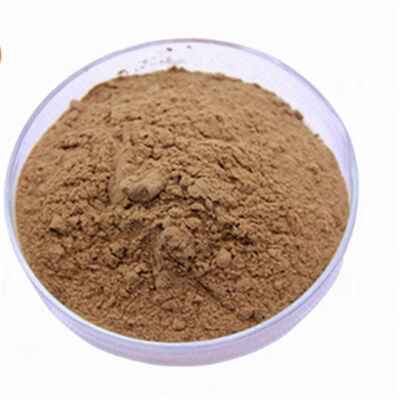Un bon prix. Extrait de Ginkgo Biloba CAS 90045-36-6 Antioxydant de qualité cosmétique Flavonoïdes pour les soins anti-âge de la peau en ligne