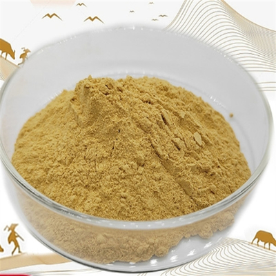 Un bon prix. Cas 90147-43-6/ 30655-48-2 Extrait de Withanolide Ashwagandha Extrait de Withania Somnifera en ligne