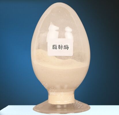 Un bon prix. CAS 9001-62-1 Lipases Enzymes pour le métabolisme des lipides en ligne