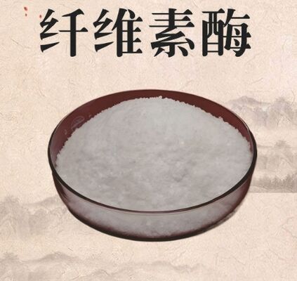 Un bon prix. Enzyme Cellulase CAS 9012-54-8 Poudre Blanche Pureté 99% en ligne