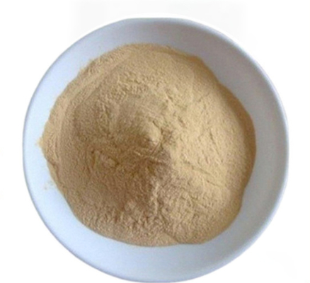 Un bon prix. CAS 8013-01-2 Extrait de levure améliorateur de saveur de Saccharomyces Cerevisiae en ligne