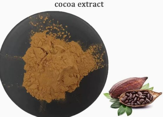 Un bon prix. Extrait de cacao de CAS 84649-99-0 Theobroma pour l'extrait de cacao de nourriture et de boisson en ligne