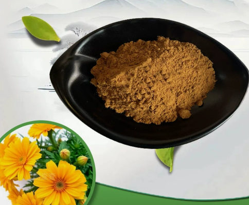 Un bon prix. Extrait de calendula officinalis de qualité cosmétique CAS 84776-23-8 pour les soins de la peau sensible et les produits pour bébé en ligne